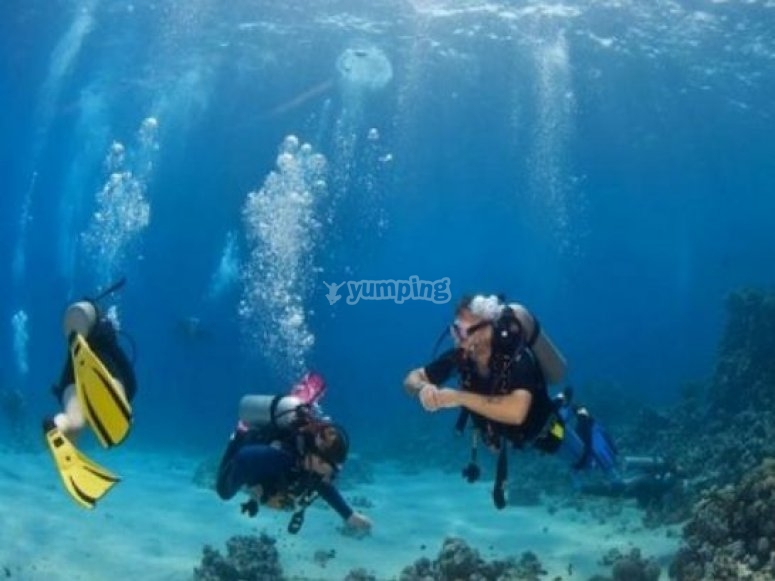 Cursos de submarinismo Cursos de submarinismo